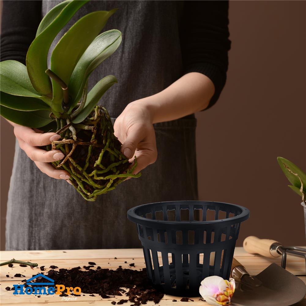 กระถางกล้วยไม้ SPRING 8 นิ้ว สีดำ 1 ใบ