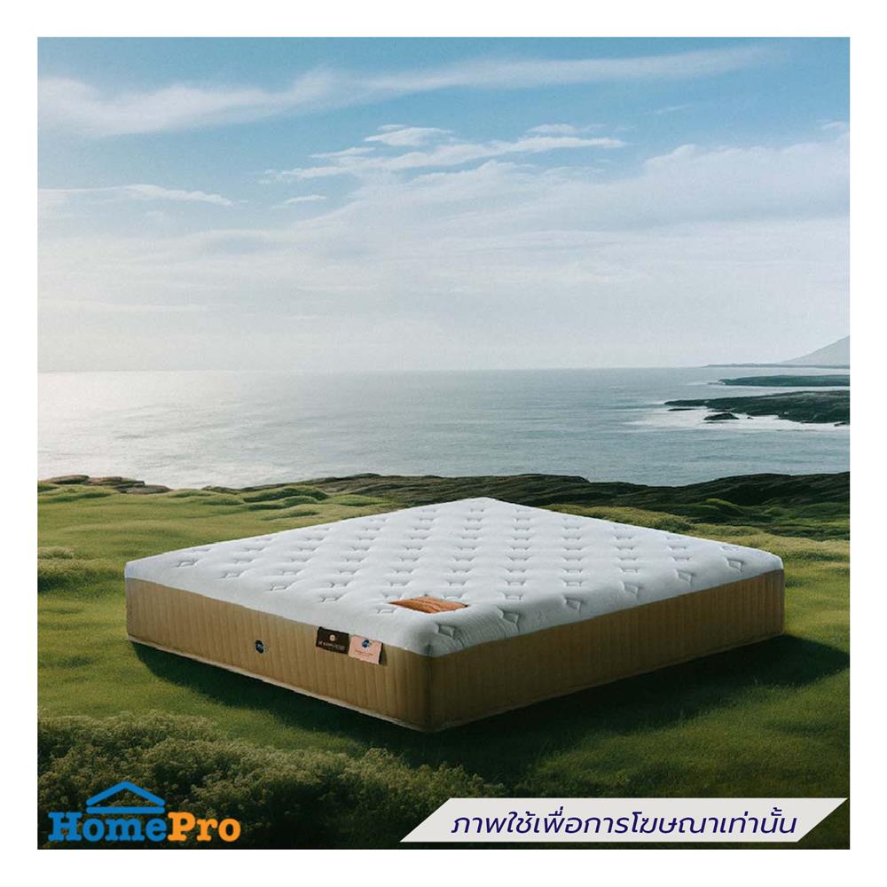 ที่นอน 3.5 ฟุต OMAZZ ORGANIQUE PLUS (พร้อมหมอนหนุน 1 ใบ)