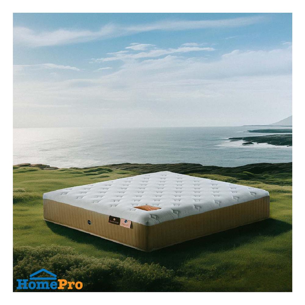 ที่นอน 5 ฟุต OMAZZ ORGANIQUE PLUS (พร้อมหมอนหนุน 2 ใบ)