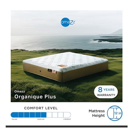 ที่นอน 5 ฟุต OMAZZ ORGANIQUE PLUS (พร้อมหมอนหนุน 2 ใบ)_11