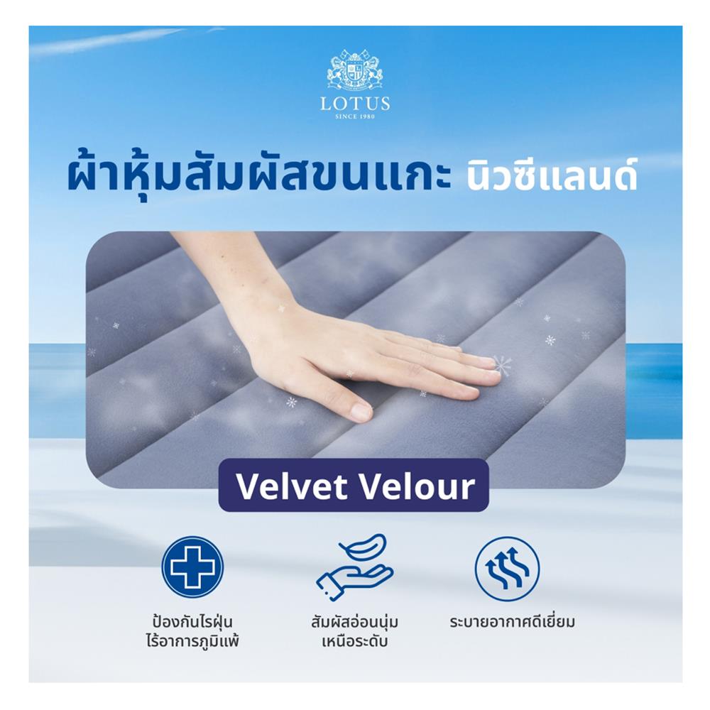 ที่นอน 3.5 ฟุต LOTUS ASCOTT พร้อมชุดเครื่องนอน 7 ชิ้น