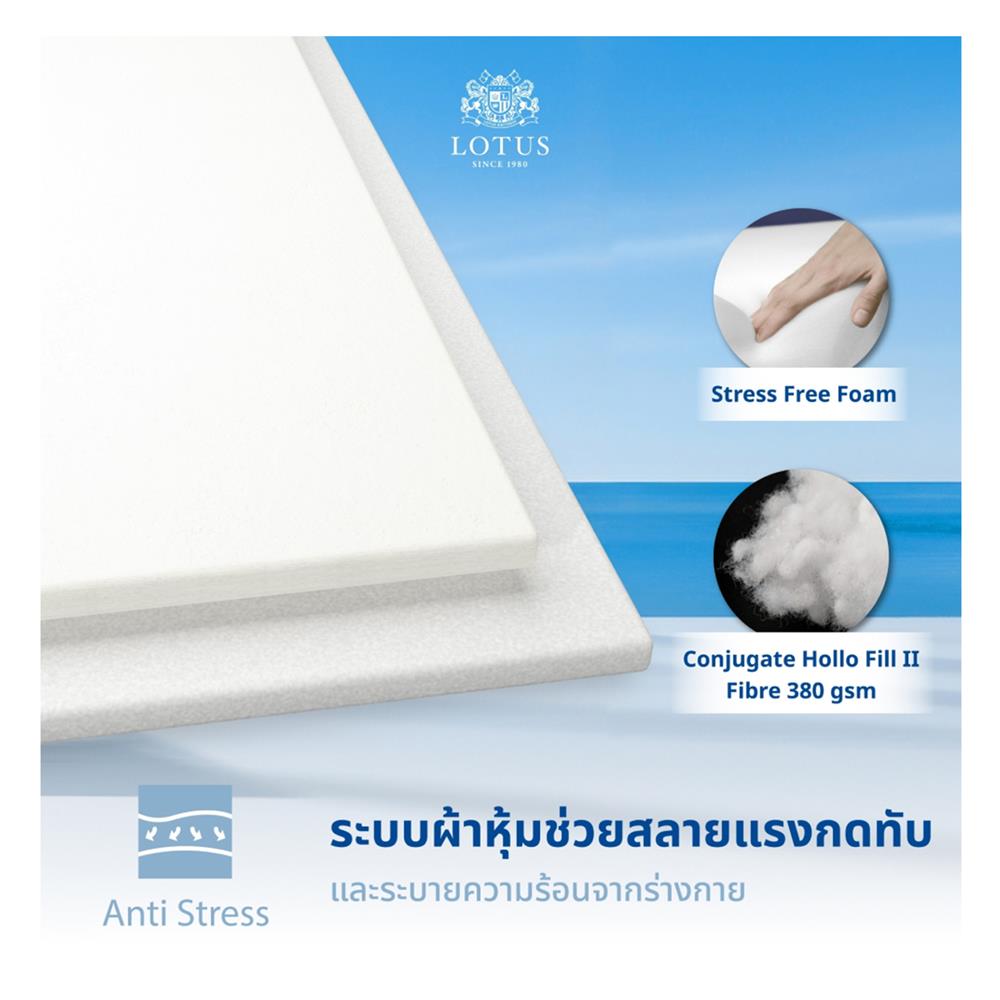 ที่นอน 3.5 ฟุต LOTUS ASCOTT พร้อมชุดเครื่องนอน 7 ชิ้น