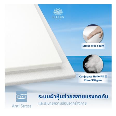 ที่นอน 3.5 ฟุต LOTUS ASCOTT พร้อมชุดเครื่องนอน 7 ชิ้น_10