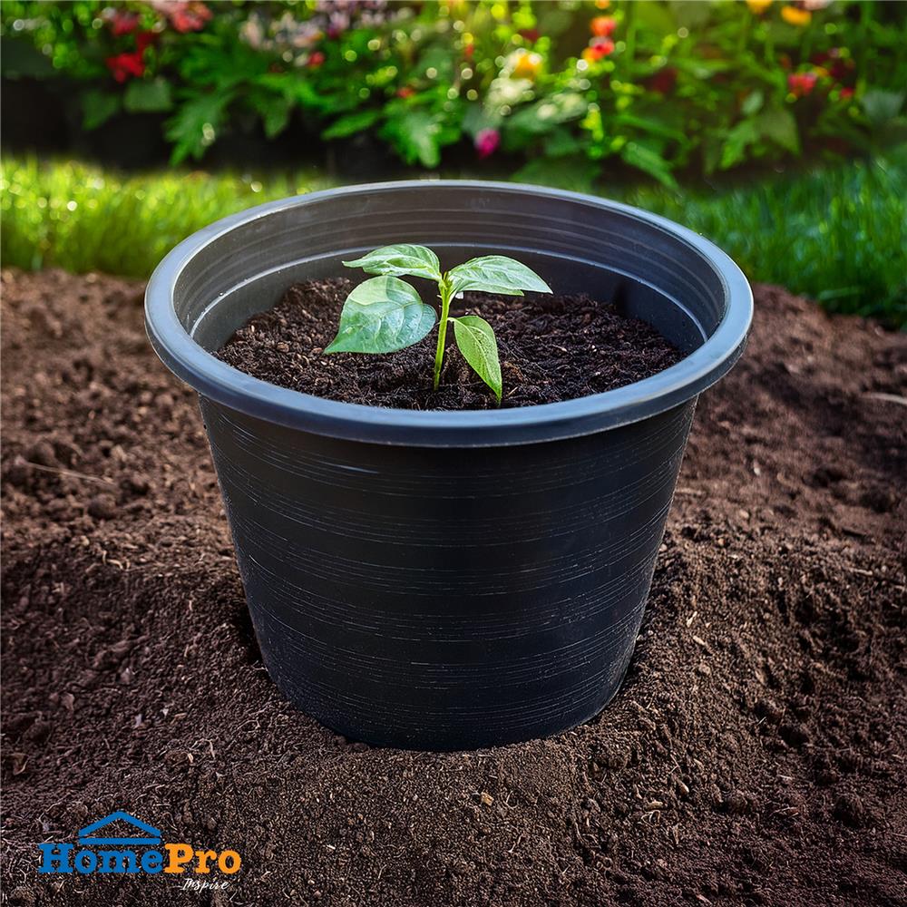 กระถางต้นไม้ SPRING 8 นิ้ว  สีดำ 20 ใบ