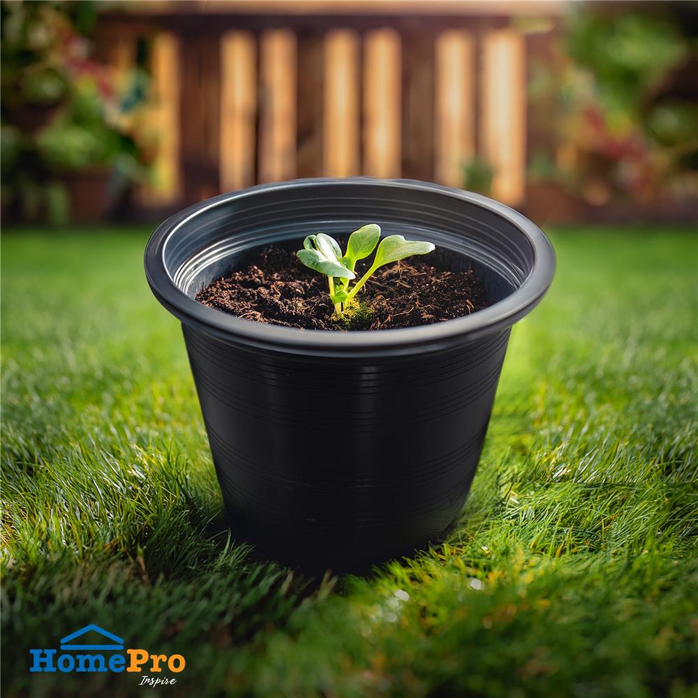 กระถางต้นไม้ SPRING 6 นิ้ว สีดำ 20 ใบ