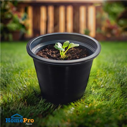กระถางต้นไม้ SPRING 6 นิ้ว สีดำ 20 ใบ_2