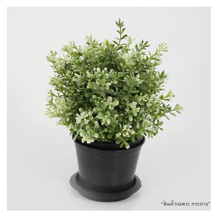 กระถางต้นไม้ SPRING 4 นิ้ว สีดำ 1 ใบ_2