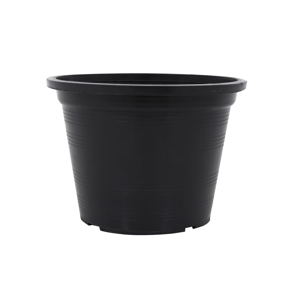 กระถางต้นไม้ SPRING 6 นิ้ว สีดำ 50 ใบ