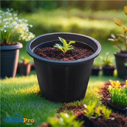 กระถางต้นไม้ SPRING 6 นิ้ว สีดำ 50 ใบ_2
