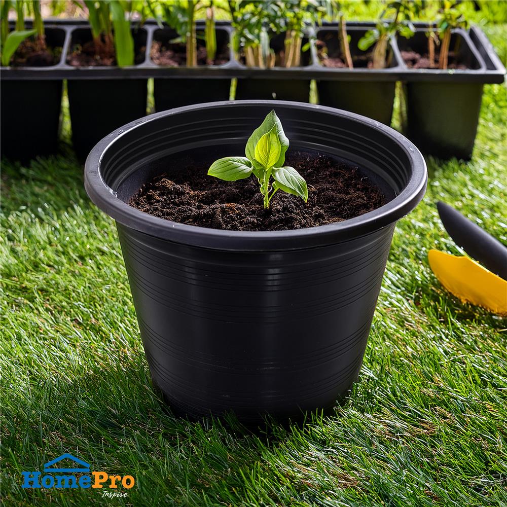 กระถางต้นไม้ SPRING 8 นิ้ว สีดำ 50 ใบ
