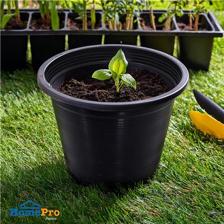 กระถางต้นไม้ SPRING 8 นิ้ว สีดำ 50 ใบ_2
