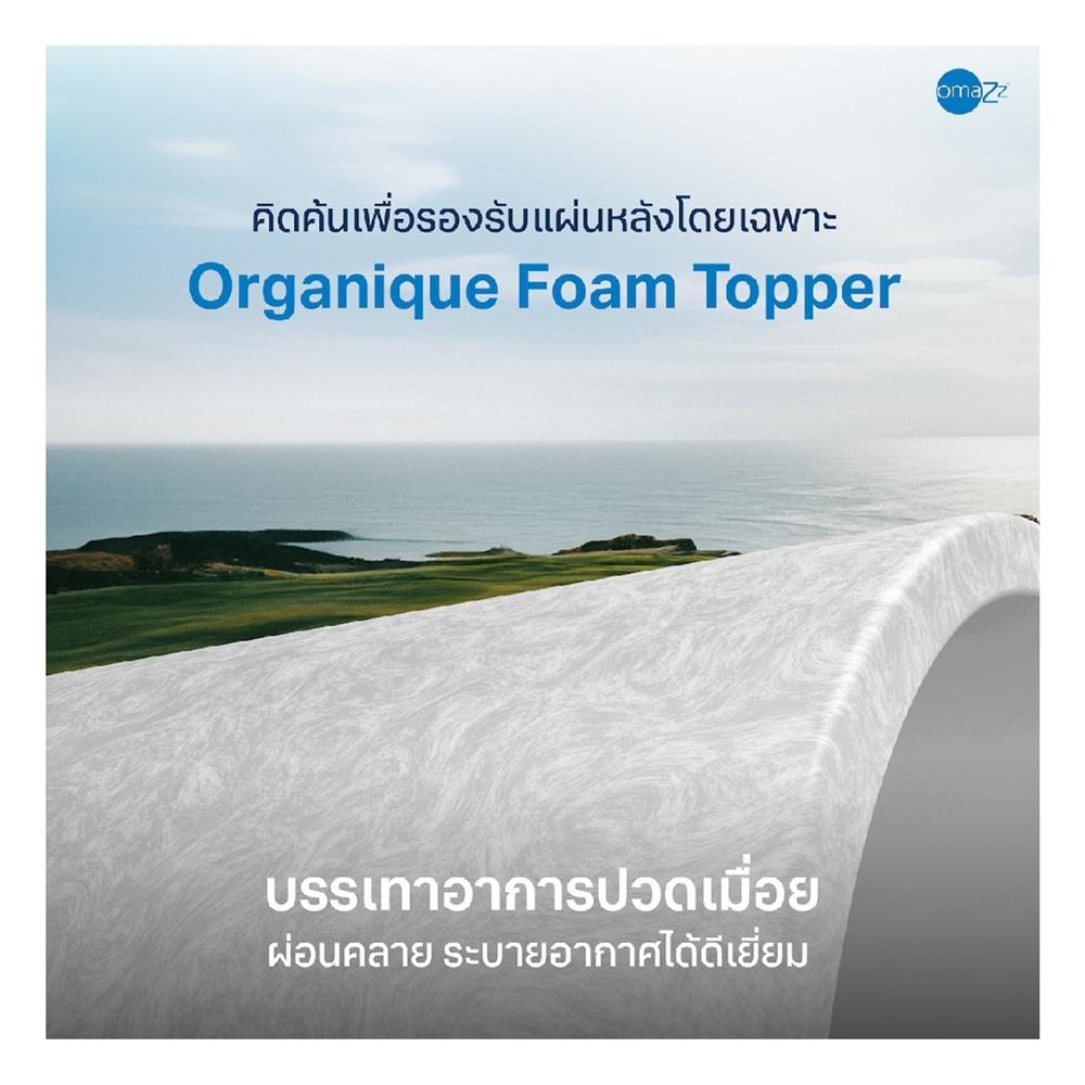 ที่นอน 6 ฟุต OMAZZ ORGANIQUE PLUS (พร้อมหมอนหนุน 2 ใบ)