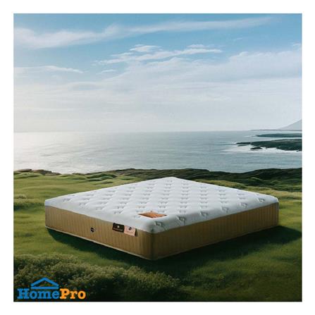 ที่นอน 6 ฟุต OMAZZ ORGANIQUE PLUS (พร้อมหมอนหนุน 2 ใบ)_3