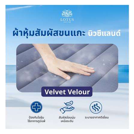 ที่นอน 6 ฟุต LOTUS ASCOTT พร้อมชุดเครื่องนอน 11 ชิ้น_11
