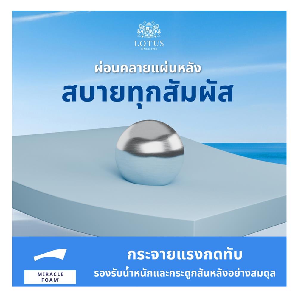 ที่นอน 5 ฟุต LOTUS ASCOTT พร้อมชุดเครื่องนอน 11 ชิ้น