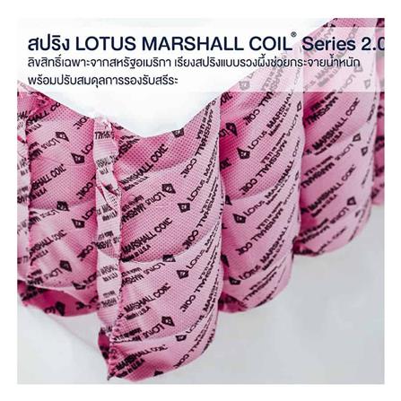 ที่นอน 6 ฟุต LOTUS NINA (พร้อมชุดเครื่องนอน 12 ชิ้น)_4