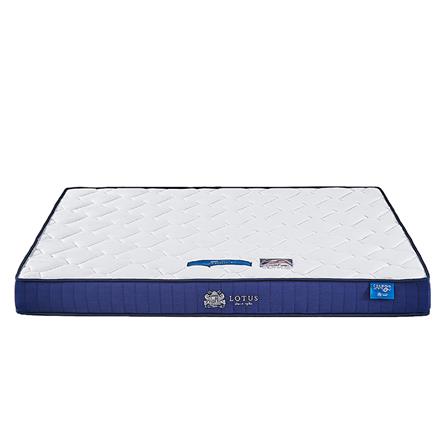 ที่นอน 5 ฟุต LOTUS CARLTON I_0