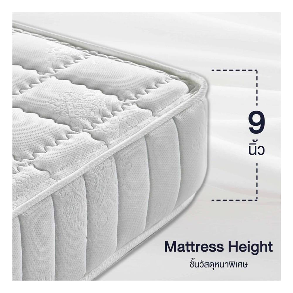 ที่นอน 3.5 ฟุต LOTUS NAUTILUS