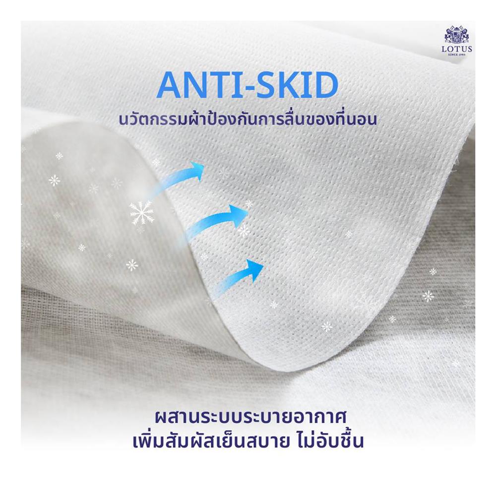 ที่นอน 3.5 ฟุต LOTUS NAUTILUS