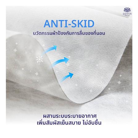 ที่นอน 3.5 ฟุต LOTUS NAUTILUS_5