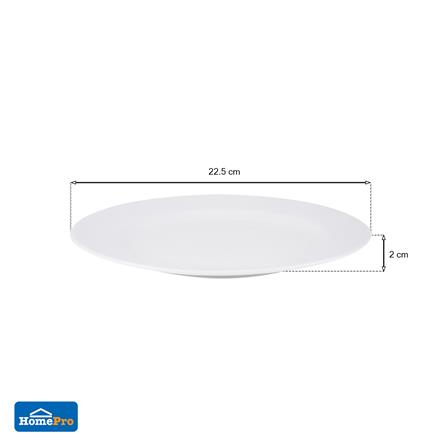 จานเซรามิกตื้น 9