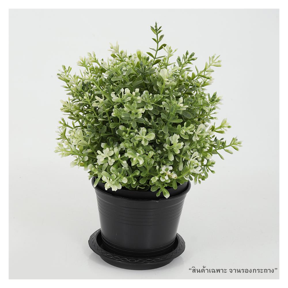 จานพลาสติก รองกระถาง SPRING 4 นิ้ว สีดำ