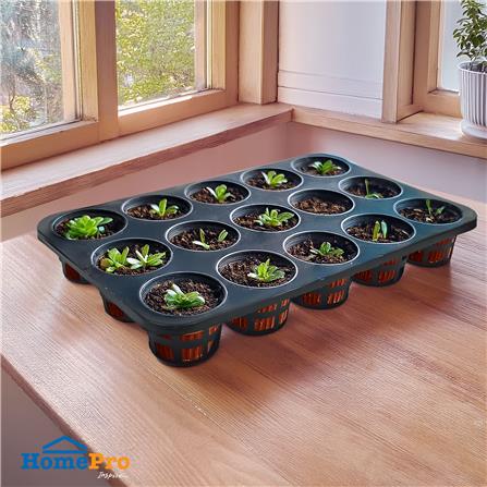 ตะแกรง 15 หลุม SPRING ใหญ่_3