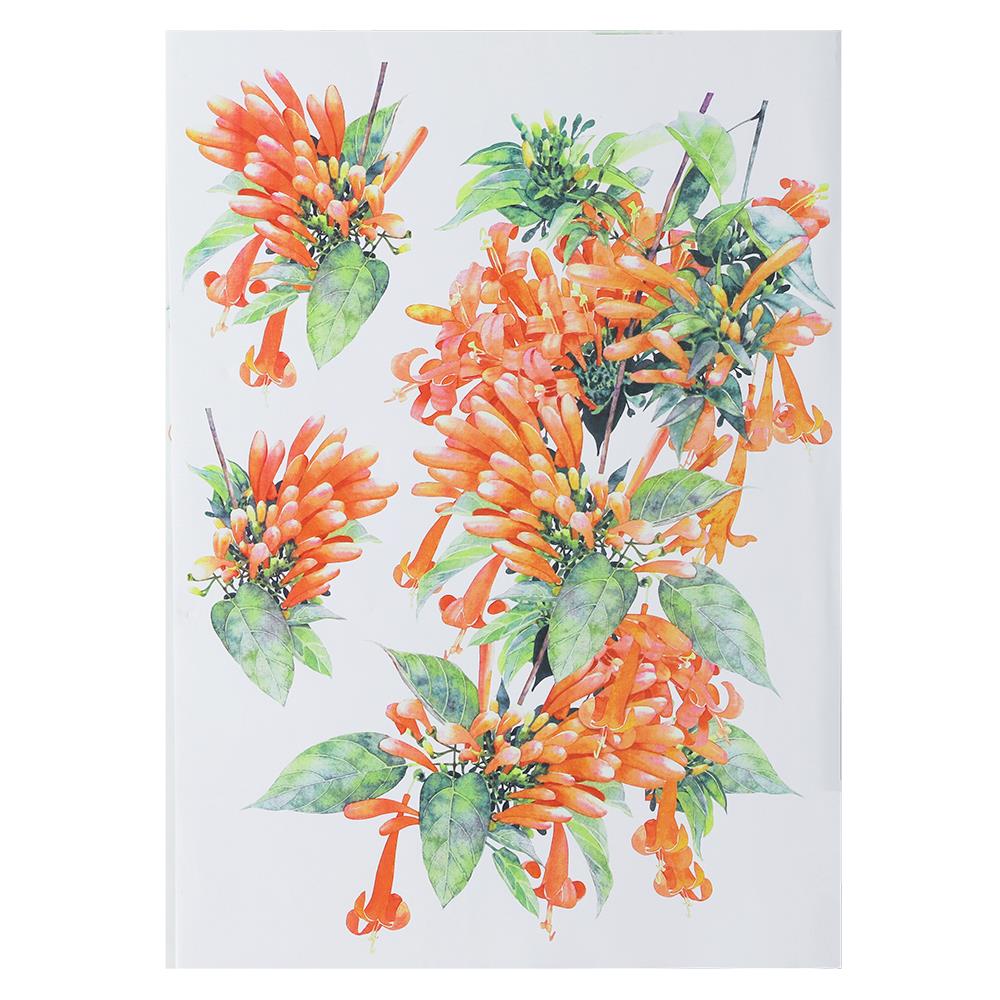 สติ๊กเกอร์ลอกน้ำ DIY HOME LIVING STYLE ORANGE FLOWER 34X47 ซม.