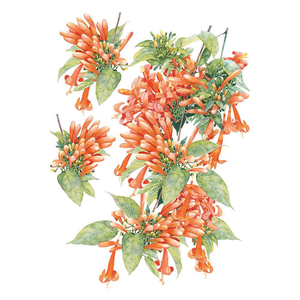 สติ๊กเกอร์ลอกน้ำ DIY HOME LIVING STYLE ORANGE FLOWER 34X47 ซม.