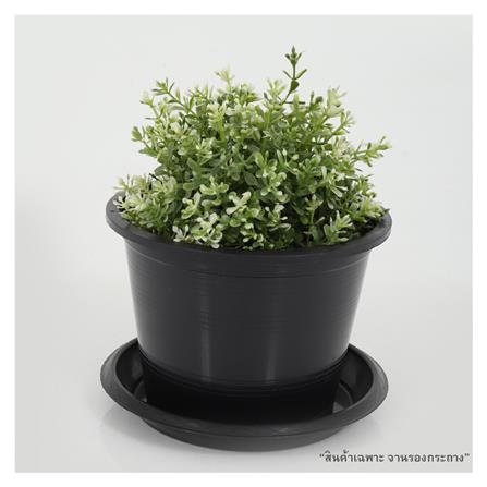 จานพลาสติก รองกระถาง SPRING 8 นิ้ว สีดำ_2