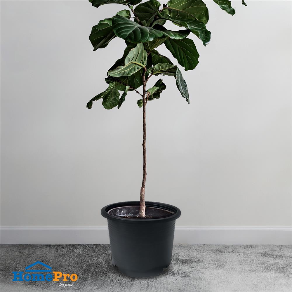 กระถางพลาสติก SPRING A15 สีดำ