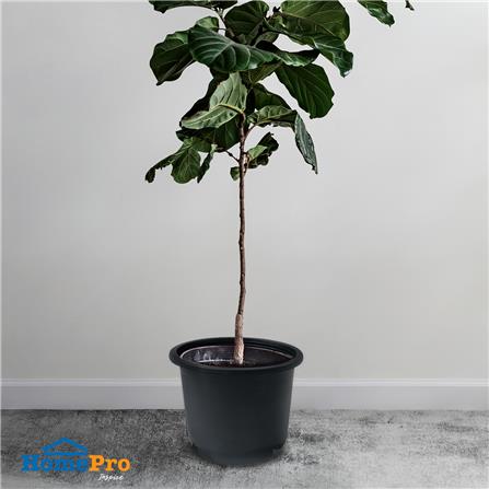 กระถางพลาสติก SPRING A15 สีดำ_4