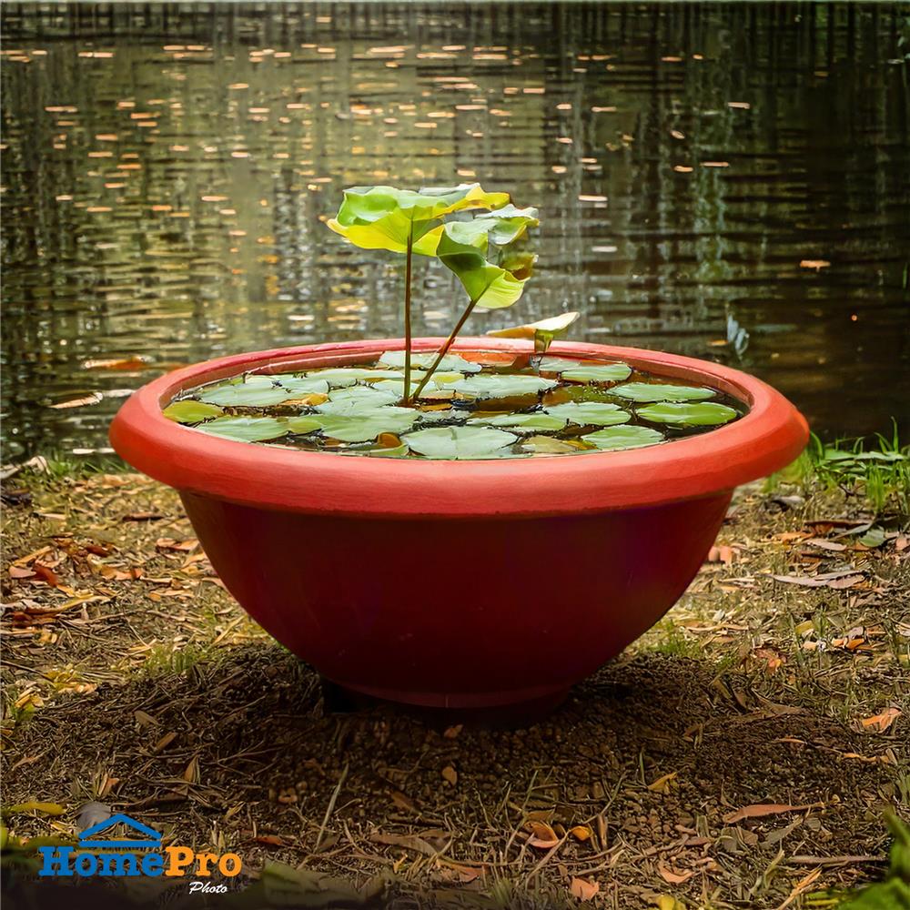 อ่างบัวพลาสติก SPRING NO.340 สีอิฐ