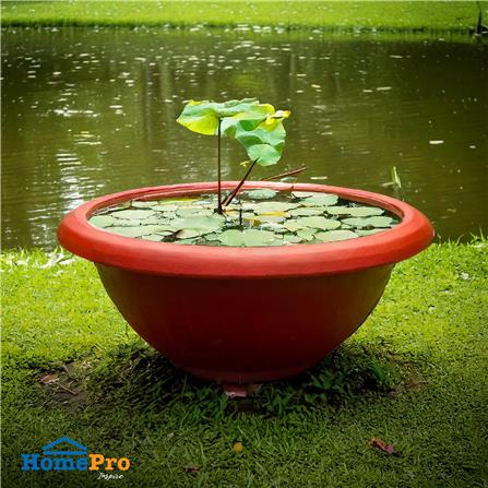 อ่างบัวพลาสติก SPRING NO.350 สีอิฐ_4