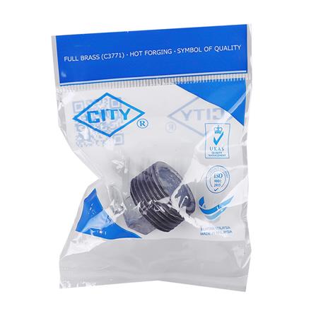 ปลั๊กอุดเกลียวประปา CITY 3/4 นิ้ว_2