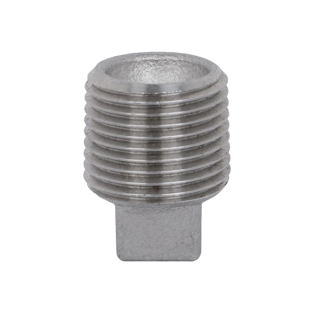 ปลั๊กอุดเกลียว CITY SUS 304 3/8 นิ้ว