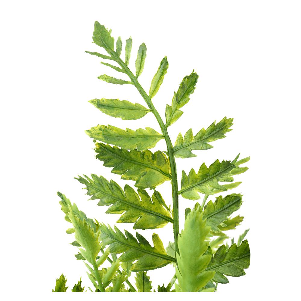 ต้นไม้ประดิษฐ์ใบเขียว SPRING TYP-01C