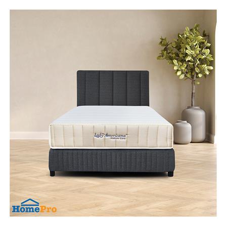 ที่นอนโฟม 3.5 ฟุต LADY AMERICANA รุ่น NATURE CARE พร้อมชุดเครื่องนอน 7 ชิ้น)_3
