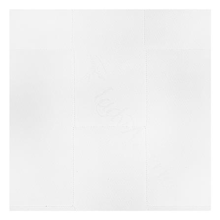 ที่นอน 3.5 ฟุต LADY AMERICANA NEW DALLAS พร้อมหมอนหนุน 1 ชิ้น_2