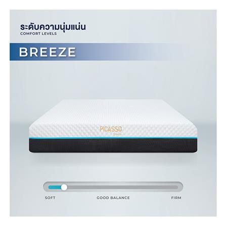 ที่นอนเมมโมรี่โฟม 6 ฟุต PICASSO COMFORT รุ่น BREEZE พร้อมชุดเครื่องนอน 11 ชิ้น_5