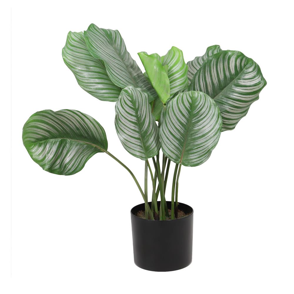 ต้นคล้านกยูงประดิษฐ์ LALA HOME 74 ซม._1