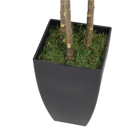 ต้นหมากประดิษฐ์ LALA HOME 110 ซม._4