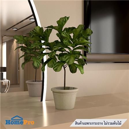 กระถางชีวภาพย่อยสลาย SPRING PLA NP-05_3