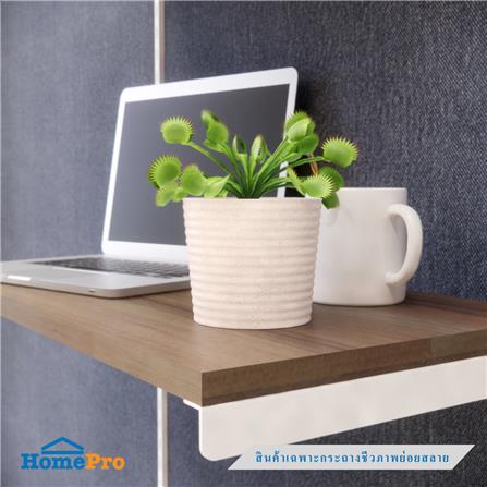 กระถางชีวภาพย่อยสลาย SPRING PLA NP-02_3