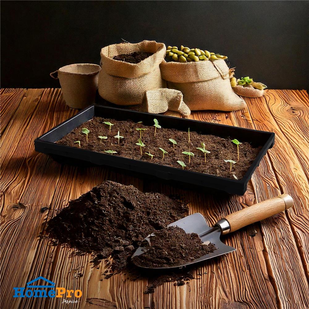 ถาดเพาะต้นอ่อน SPRING สีดำ