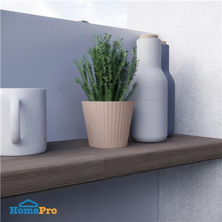 กระถางชีวภาพย่อยสลาย SPRING PLA NP-01_3