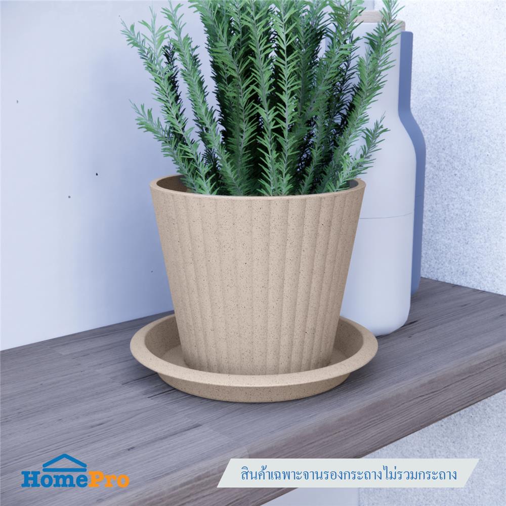 จานรองกระถางชีวภาพย่อยสลาย SPRING PLA 14 ซม.