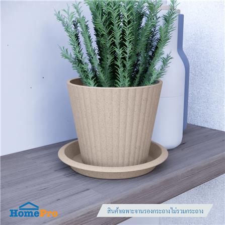 จานรองกระถางชีวภาพย่อยสลาย SPRING PLA 14 ซม._3