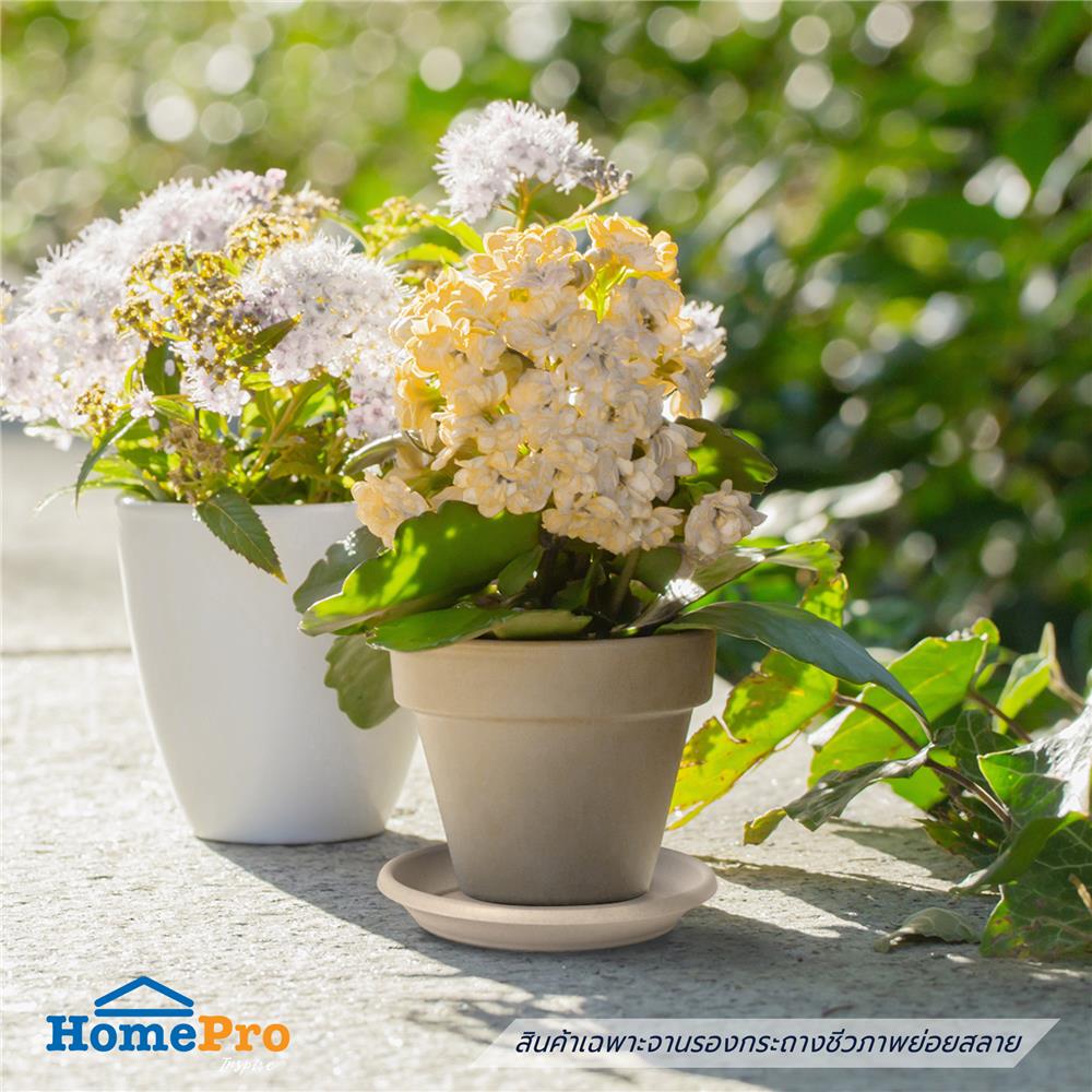 จานรองกระถางชีวภาพย่อยสลาย SPRING PLA 22.2 ซม.