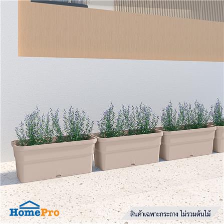 กระถางชีวภาพย่อยสลาย SPRING PLA NP-06_3